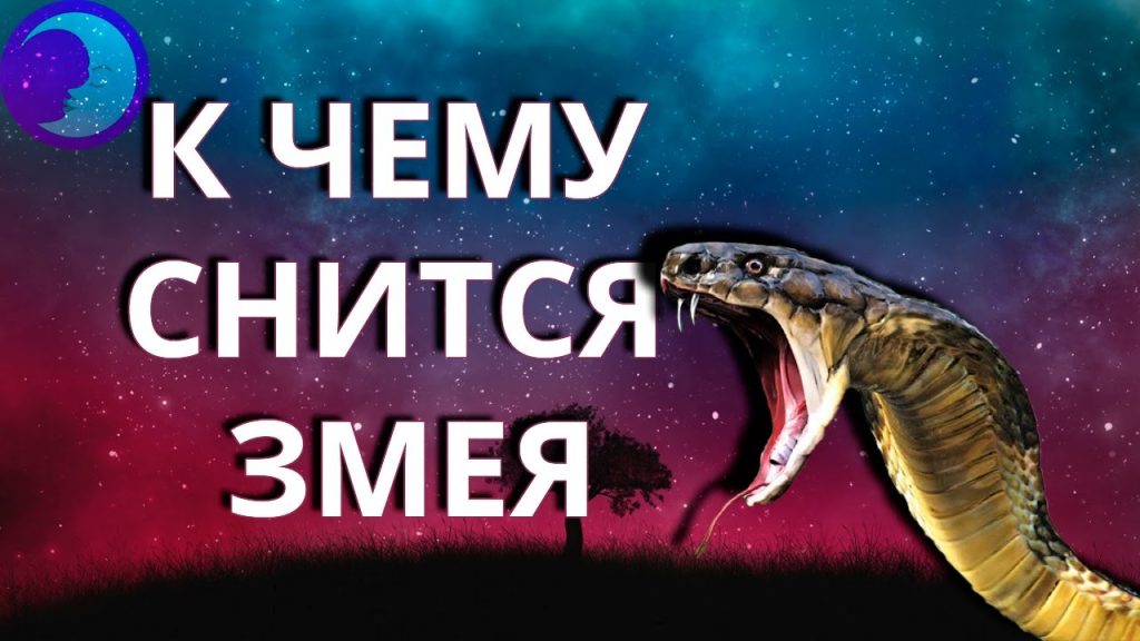 К Чему Снится Змея: Толкование и Символика Сновидения