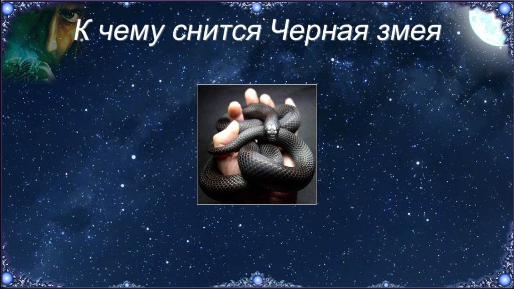 К Чему Снится Змея: Толкование и Символика Сновидения