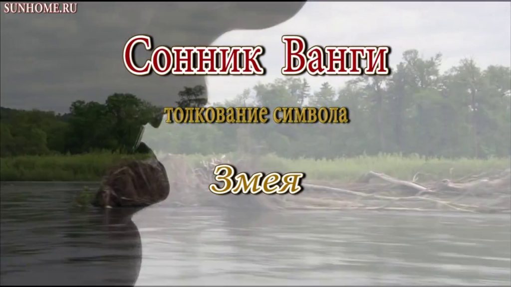 К Чему Снится Змея: Толкование и Символика Сновидения
