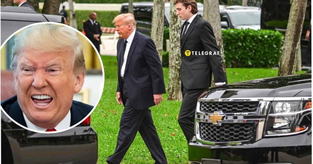 Беррон Трамп Зріст: подробная биография, личная жизнь и карьера